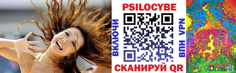 Псилоцибиновые грибы мицелий  Купить закладки  Томск 